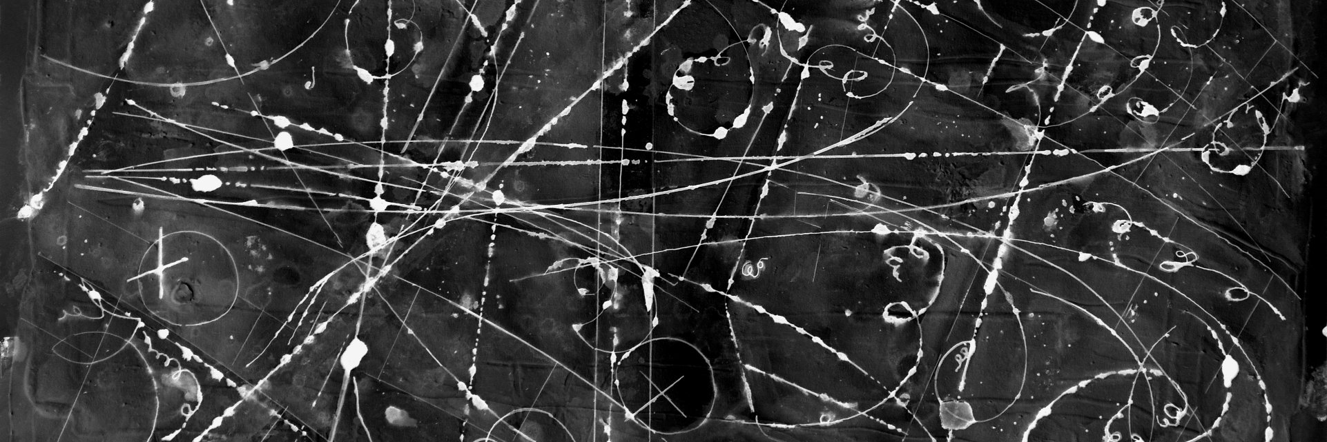 LapoLani's profile banner image