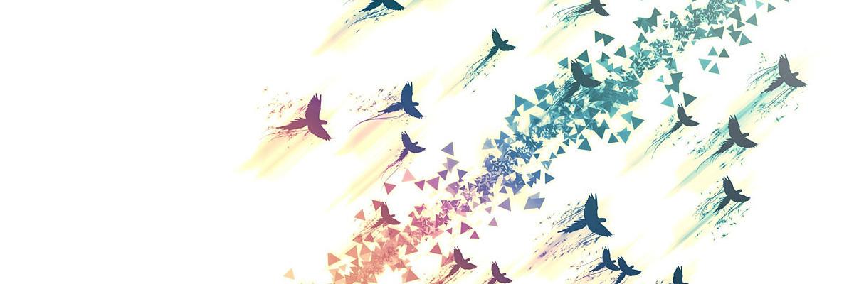 __Zori__'s profile banner image