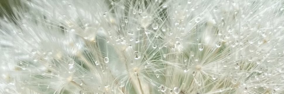 BMingot's profile banner image