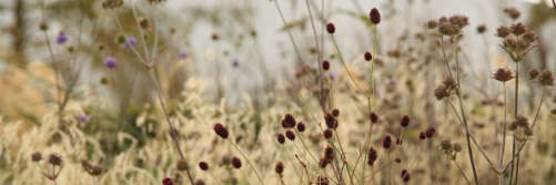 ErrolReubenFernandes banner