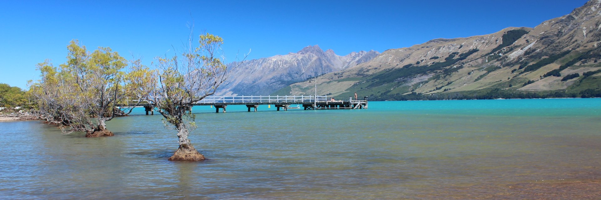 My Guide NewZealand banner