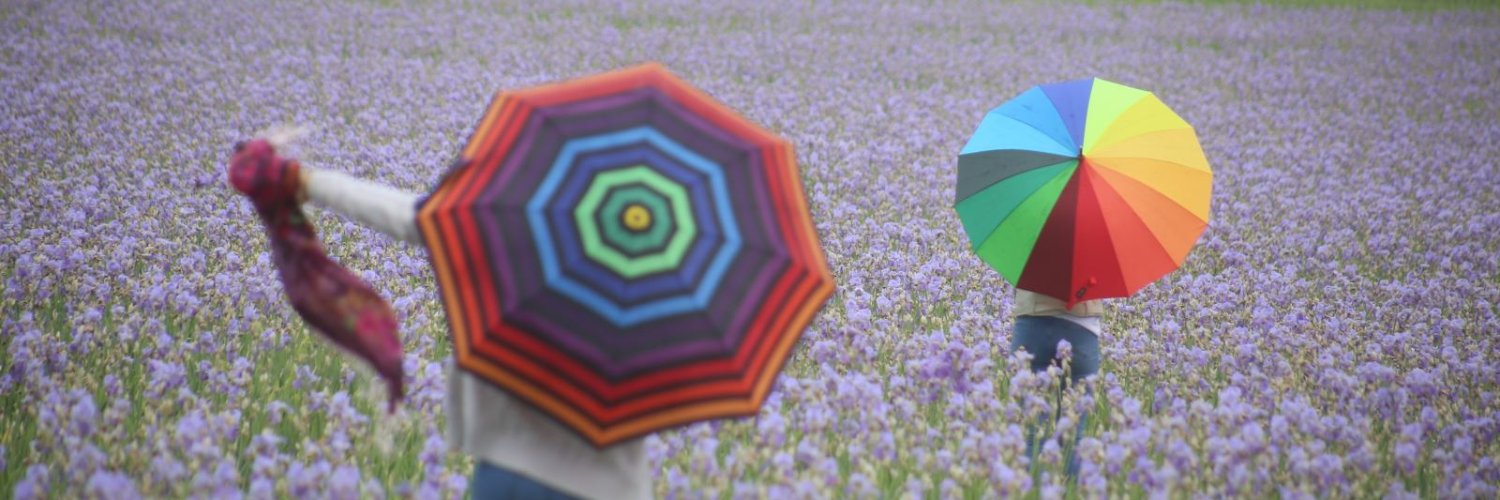 serpil3169's profile banner image