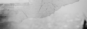 Kaf_92's profile banner image