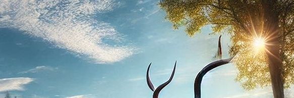 Apalah saya banner