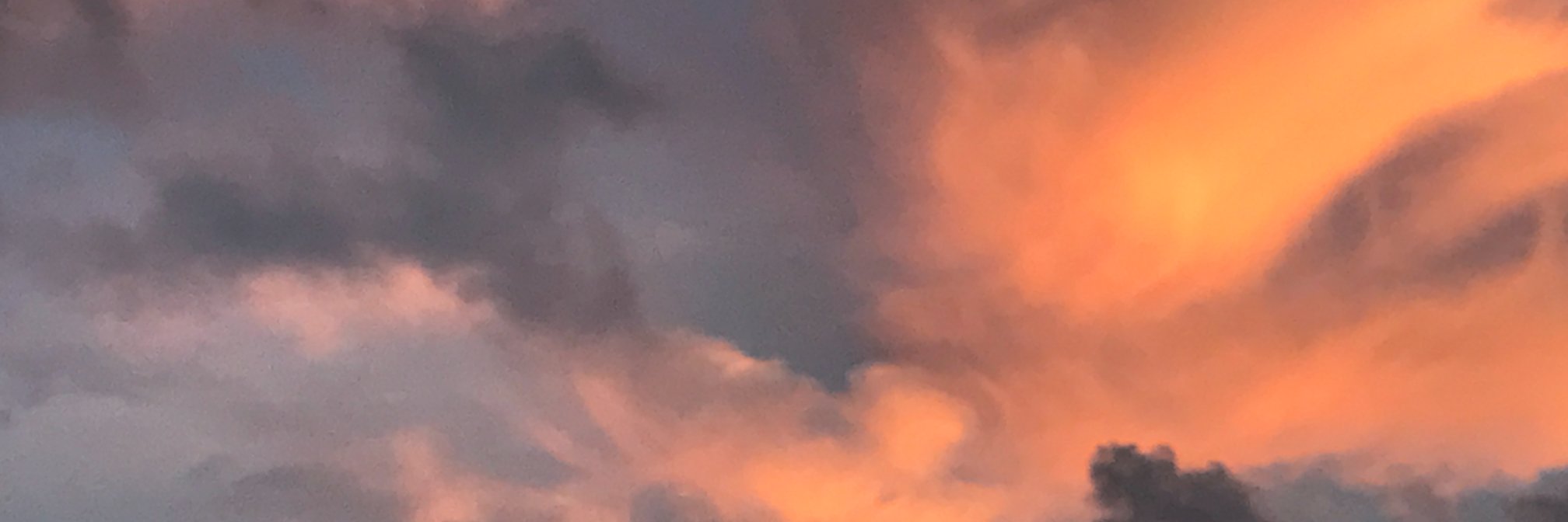 sharonlpainter's profile banner image