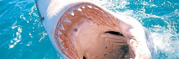 EmLorrey Profile Banner