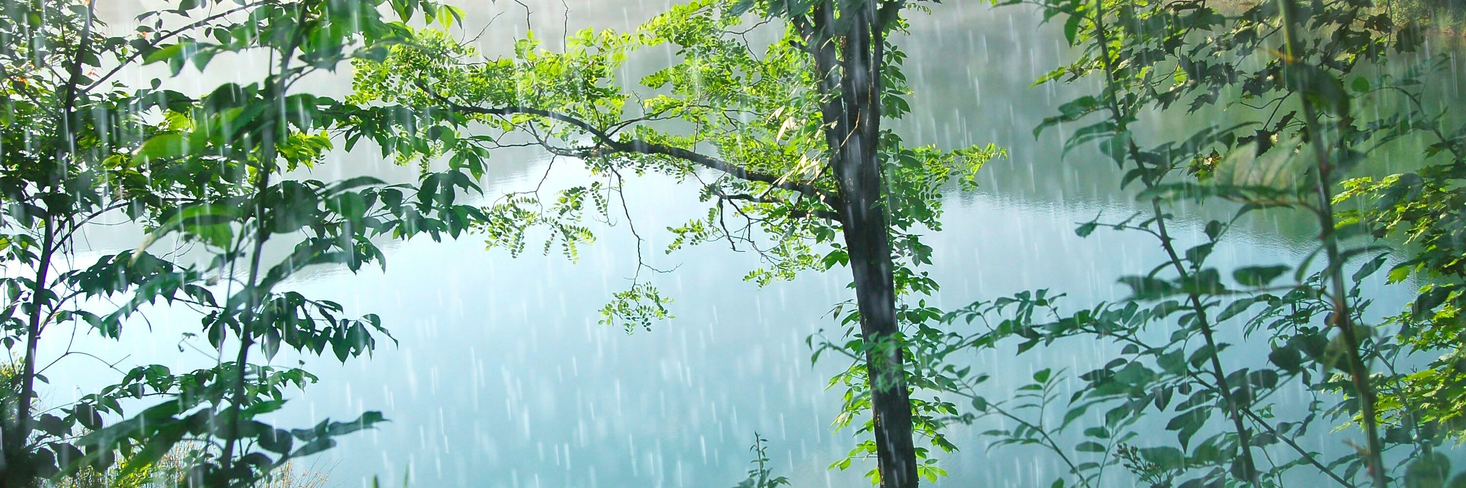 MollyDean1's profile banner image