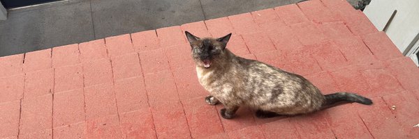 victorhperez83 Profile Banner