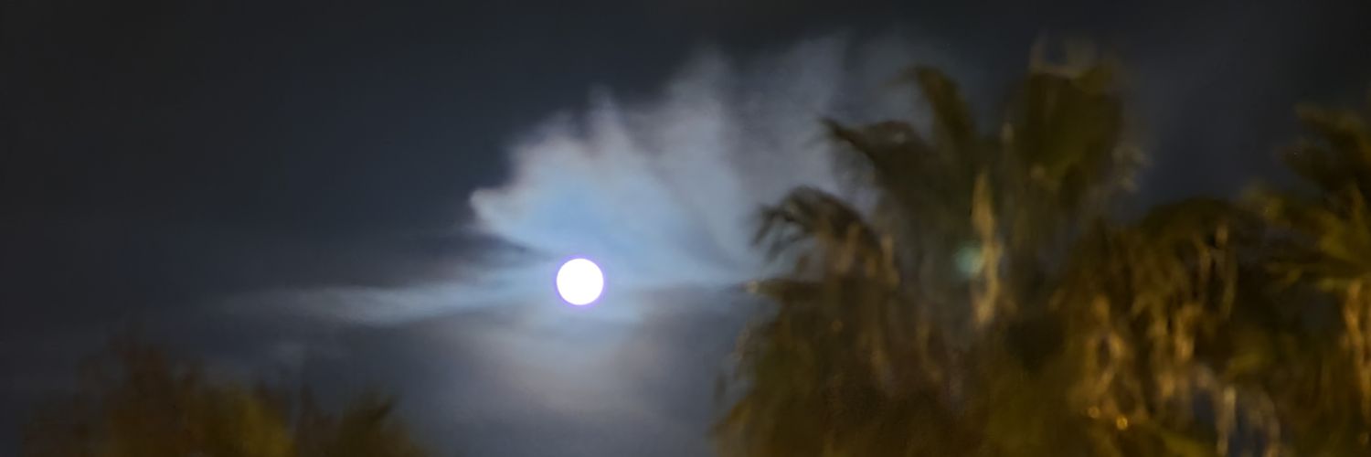 isidro_blanco's profile banner image