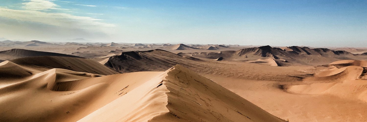 Albert Geiger banner