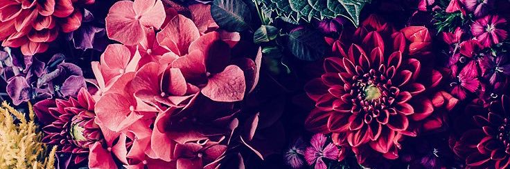 hardlyalyssa's profile banner image