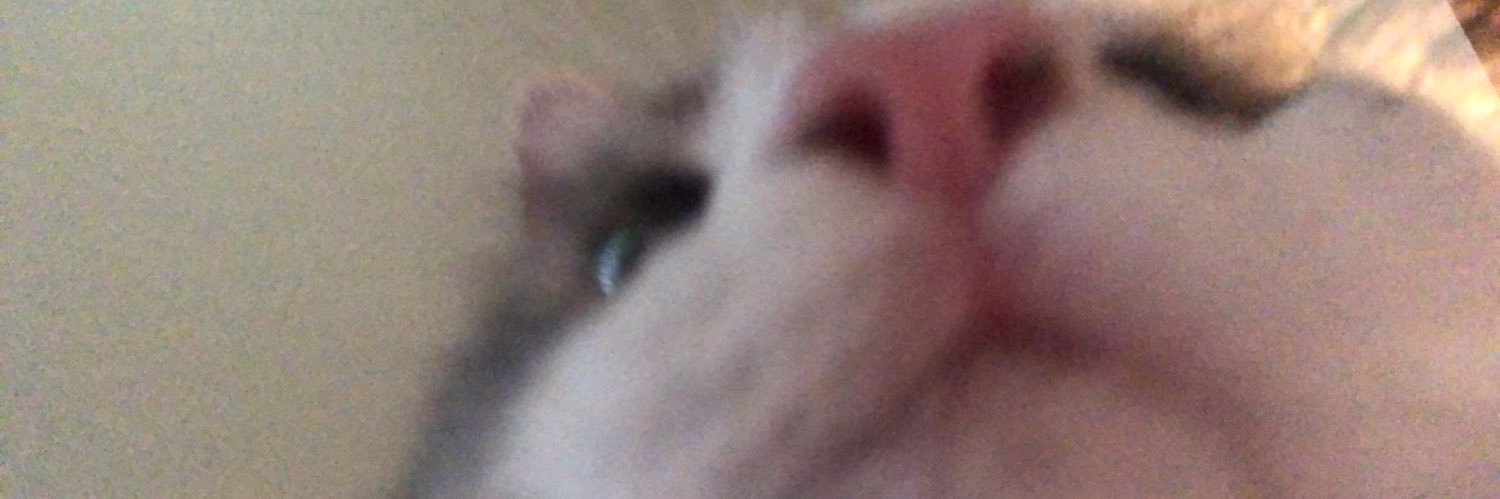 beckyblazer's profile banner image