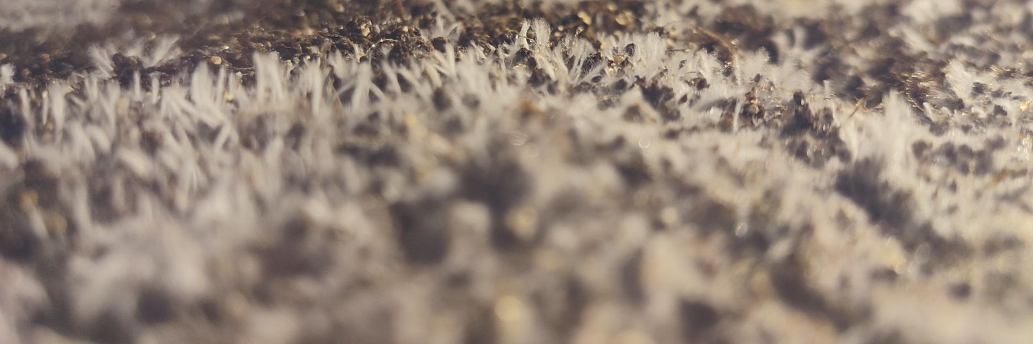 PabloLaufer's profile banner image
