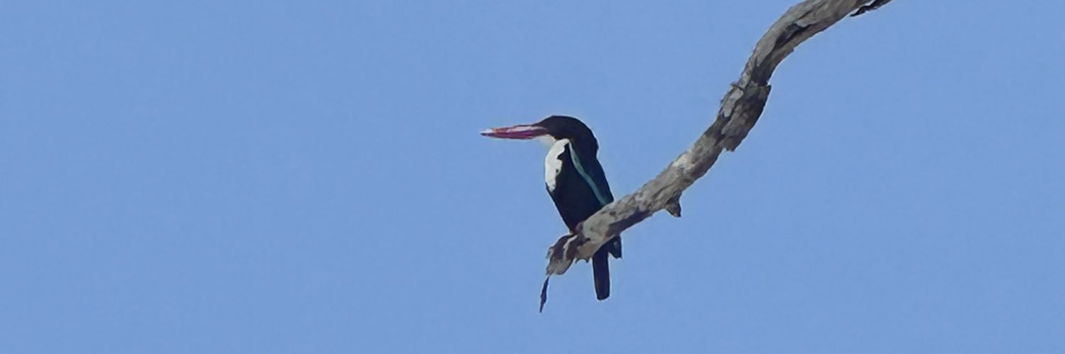 Utkarsh Singh banner