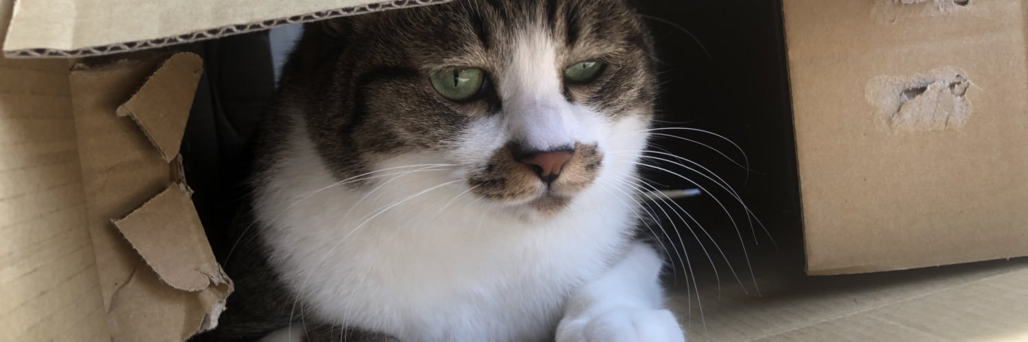 fooominmin's profile banner image