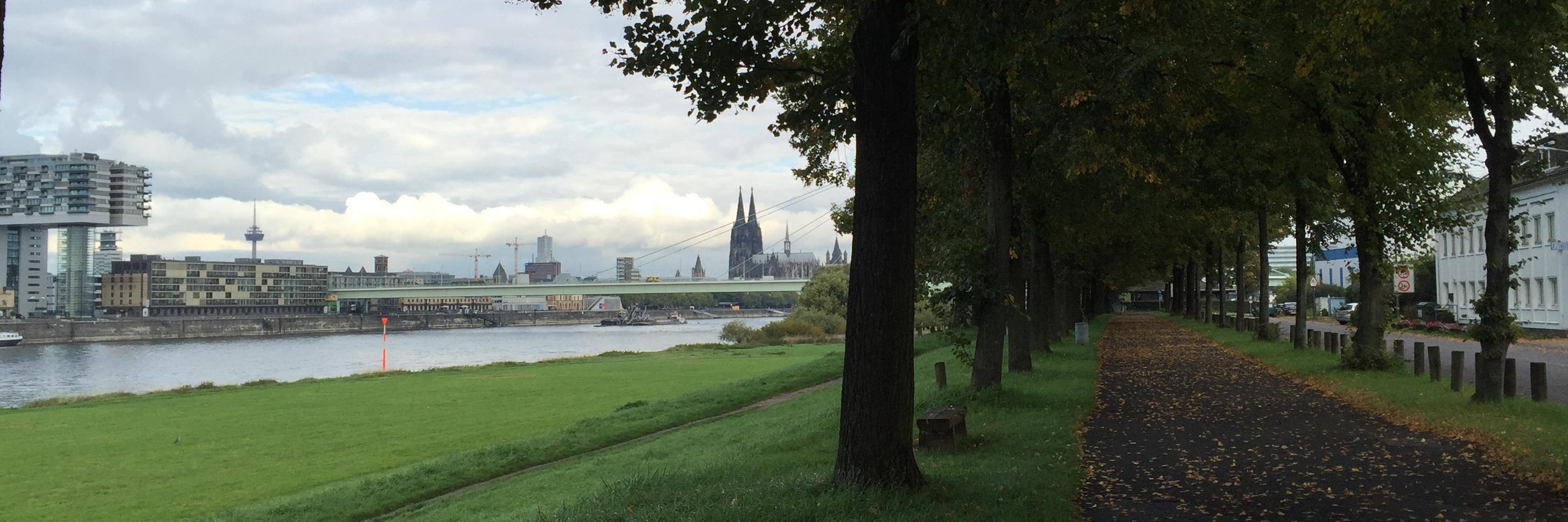 Andreas Rickmann banner