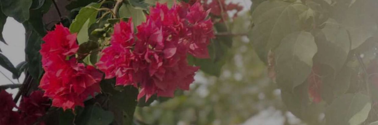 moodi1993's profile banner image