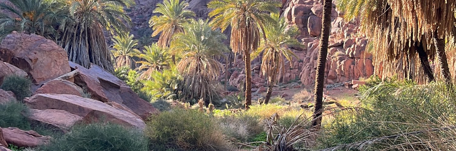 الهاديو banner