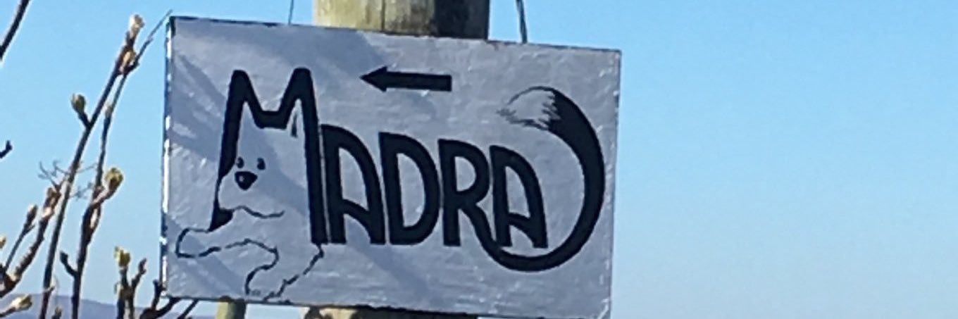 MADRA Mutts Anonymous Dog Rescue & Adoption's banner