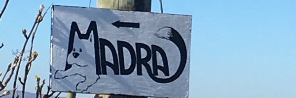 MADRADogRescue Profile Banner