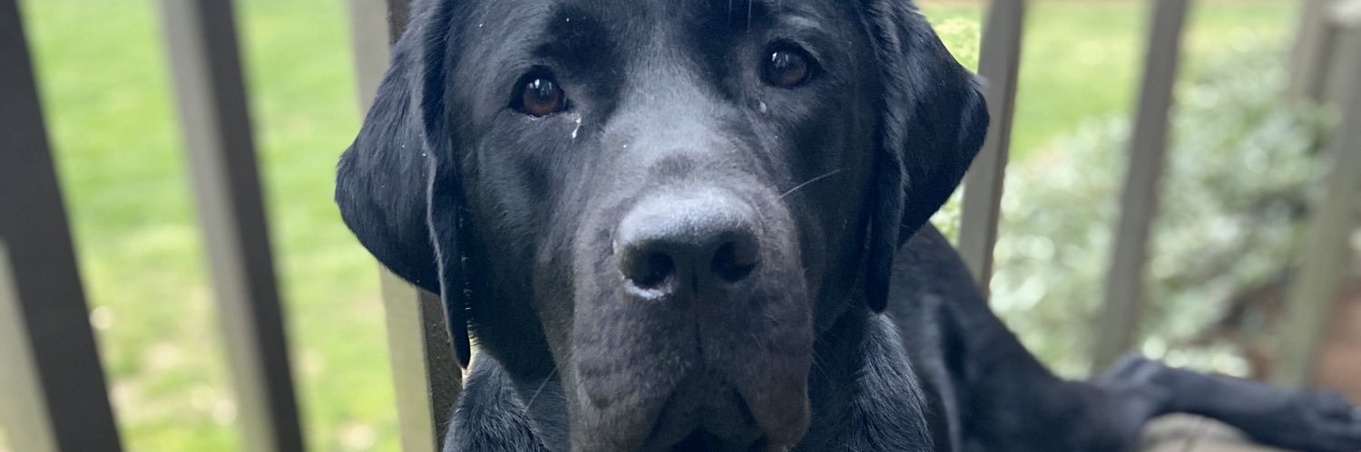 megmcwhorter's profile banner image
