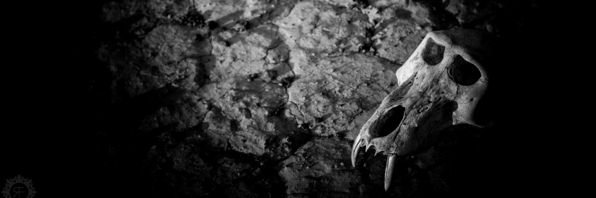 RoundaboutFilms's profile banner image