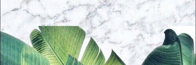 SinemBspnr's profile banner image
