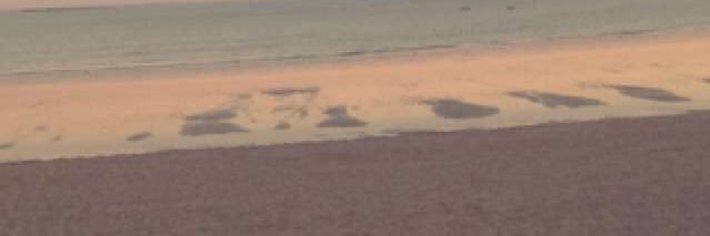 Morrggane's profile banner image