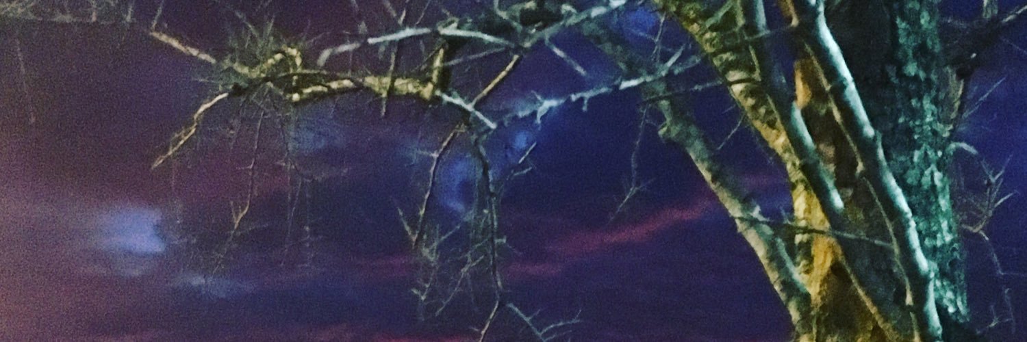 aaronalper's profile banner image