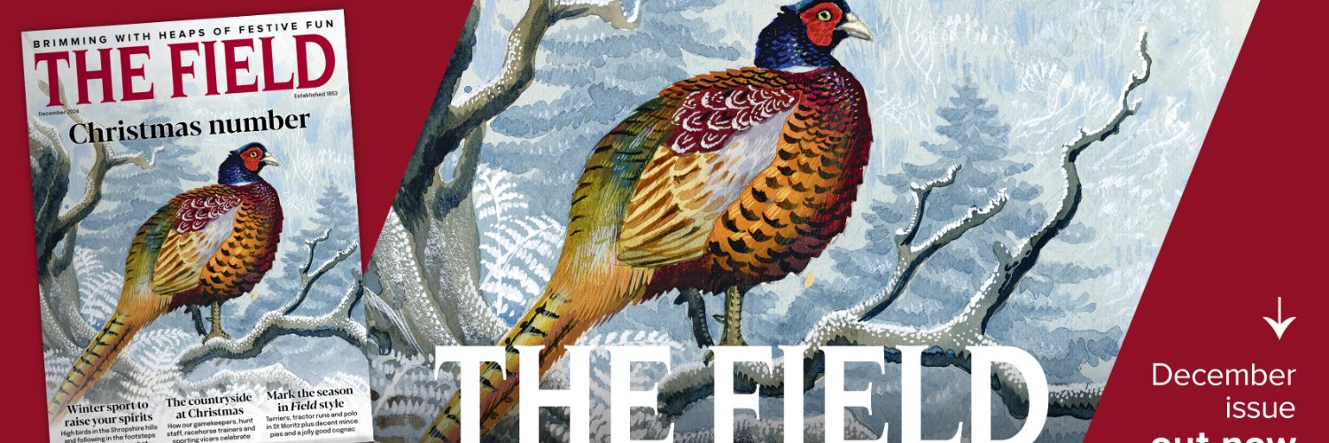 TheFieldmag's profile banner image