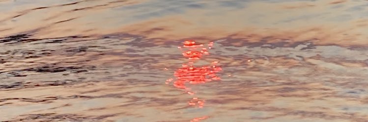 ArianeRF10's profile banner image