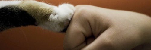 Kevincb96's profile banner image