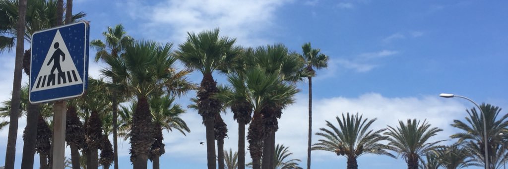 JoeMadden95's profile banner image