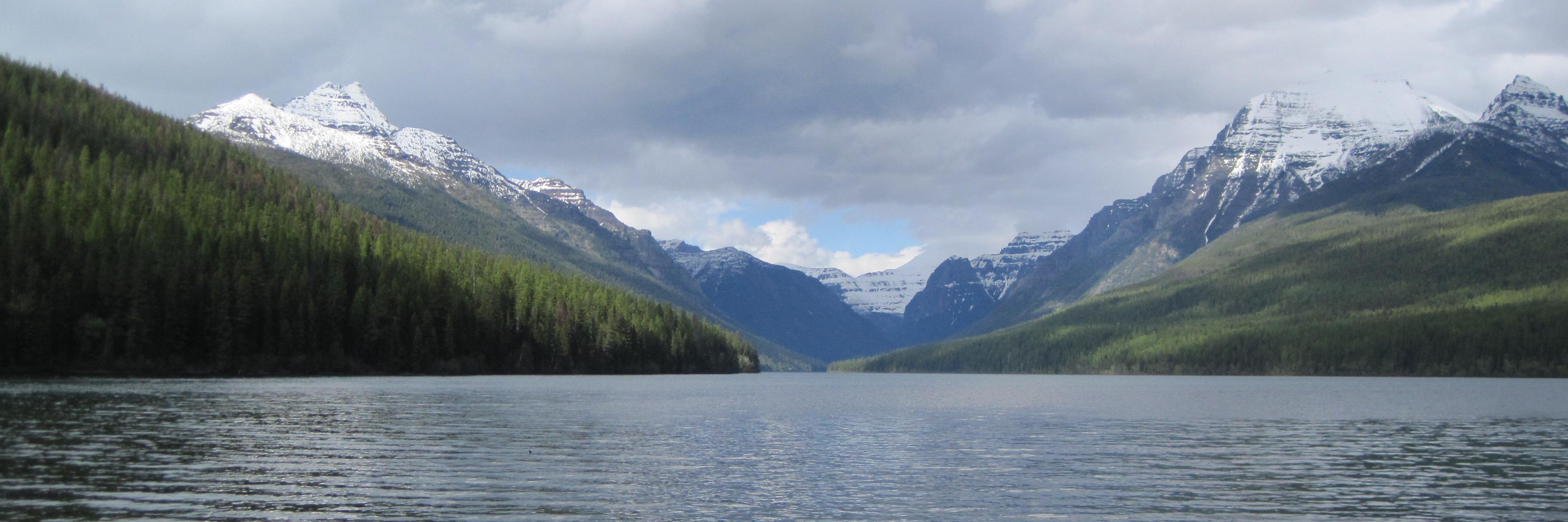 William S Adney banner