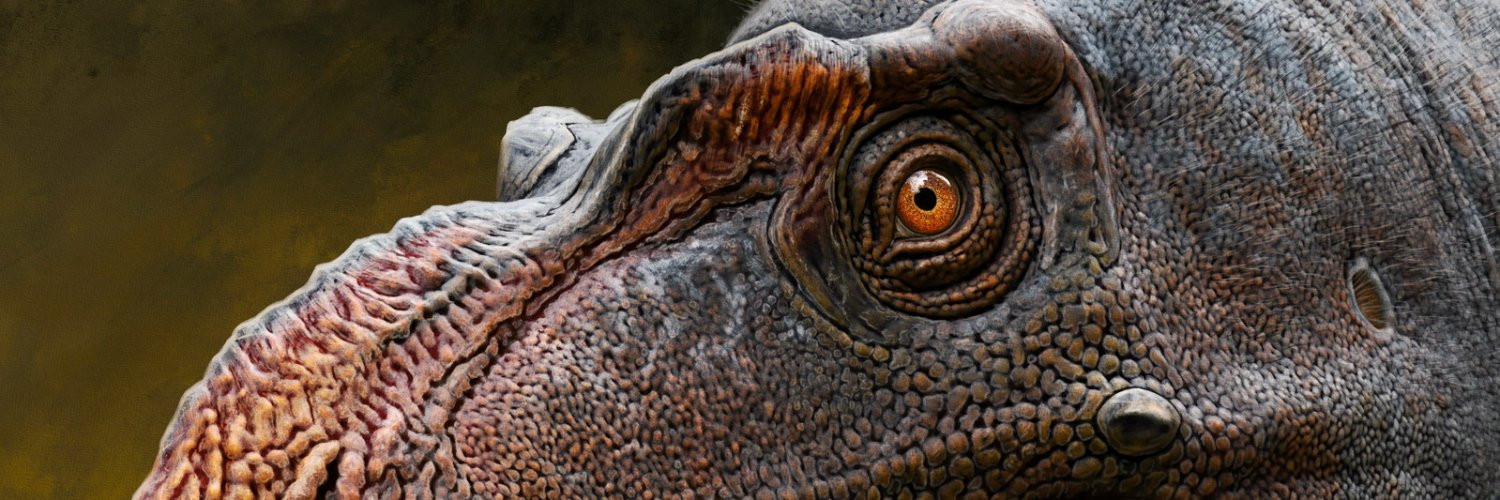 Andrey Atuchin banner