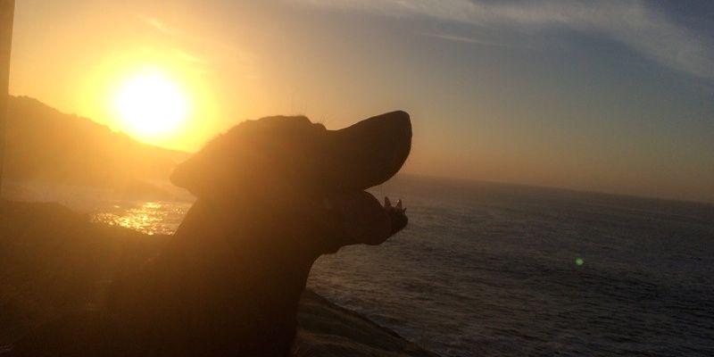 PolJauna's profile banner image