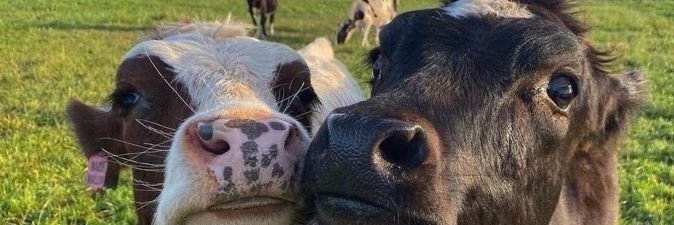 mmfffzz's profile banner image