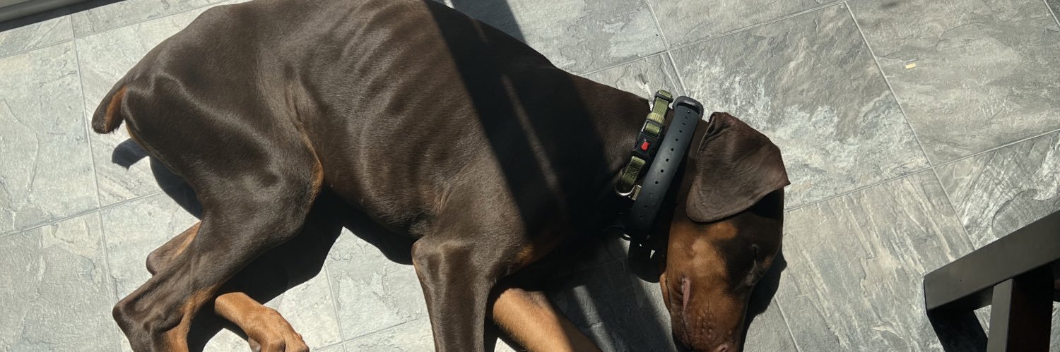 mojopal32's profile banner image