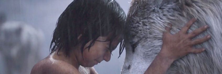 sol_iveth's profile banner image