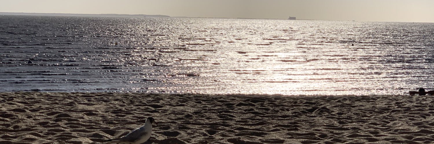 Stephane_Wulc's profile banner image