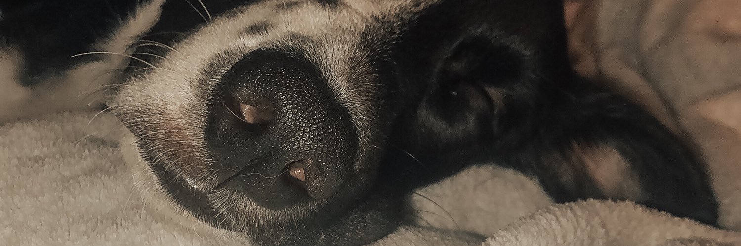 alyssajohnson00's profile banner image