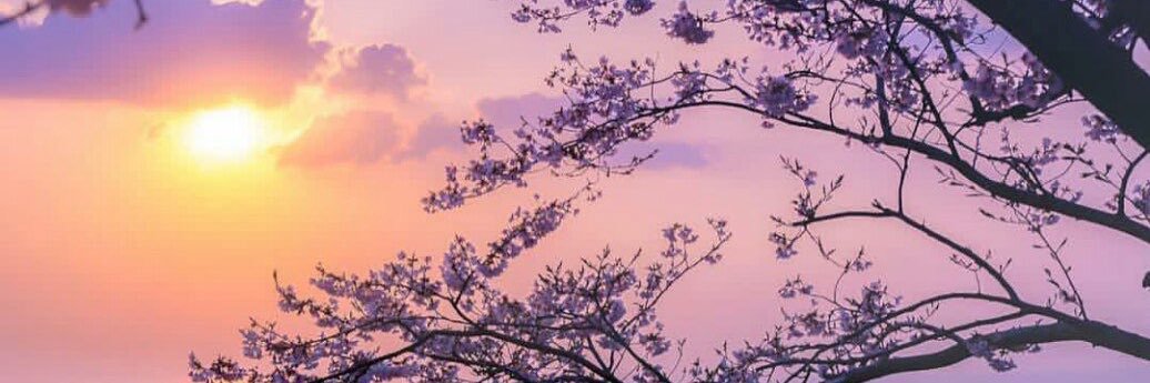 m_massari8's profile banner image