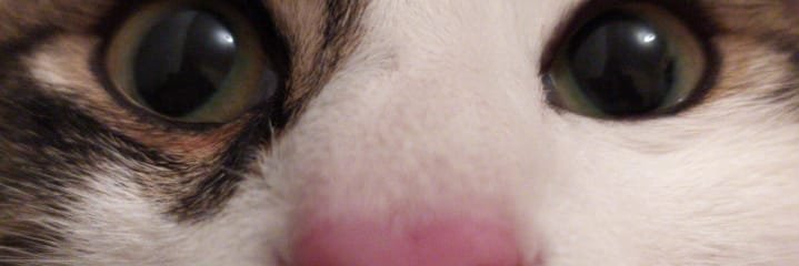 _owill's profile banner image
