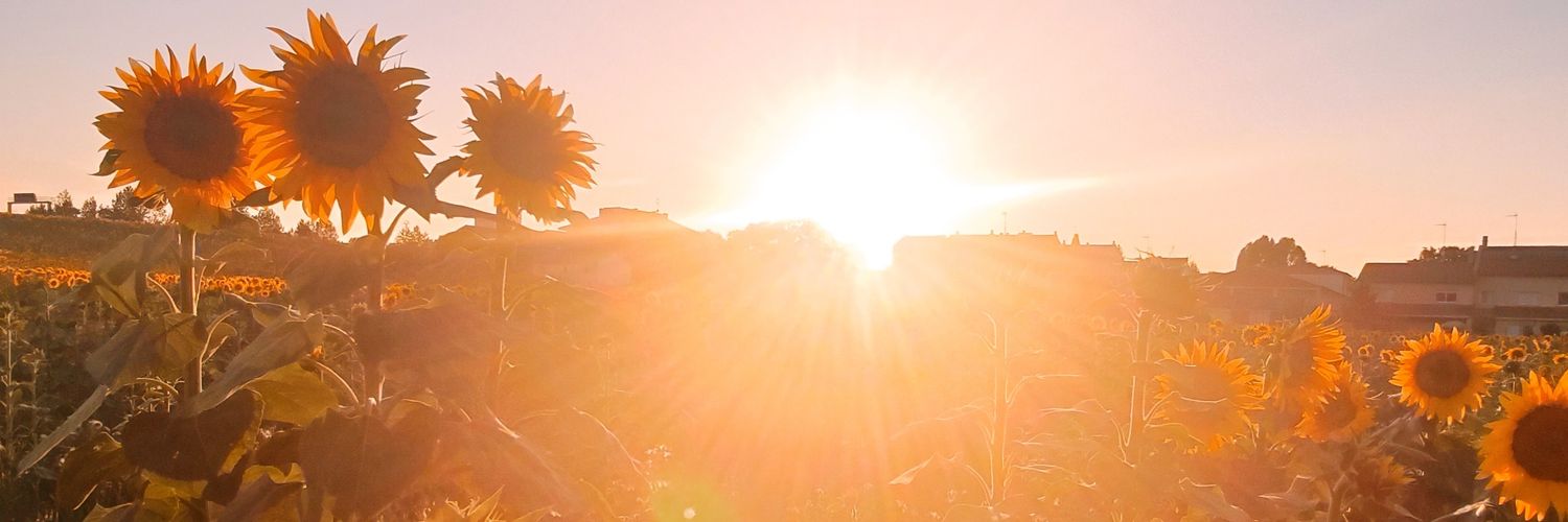 Lughna_'s profile banner image