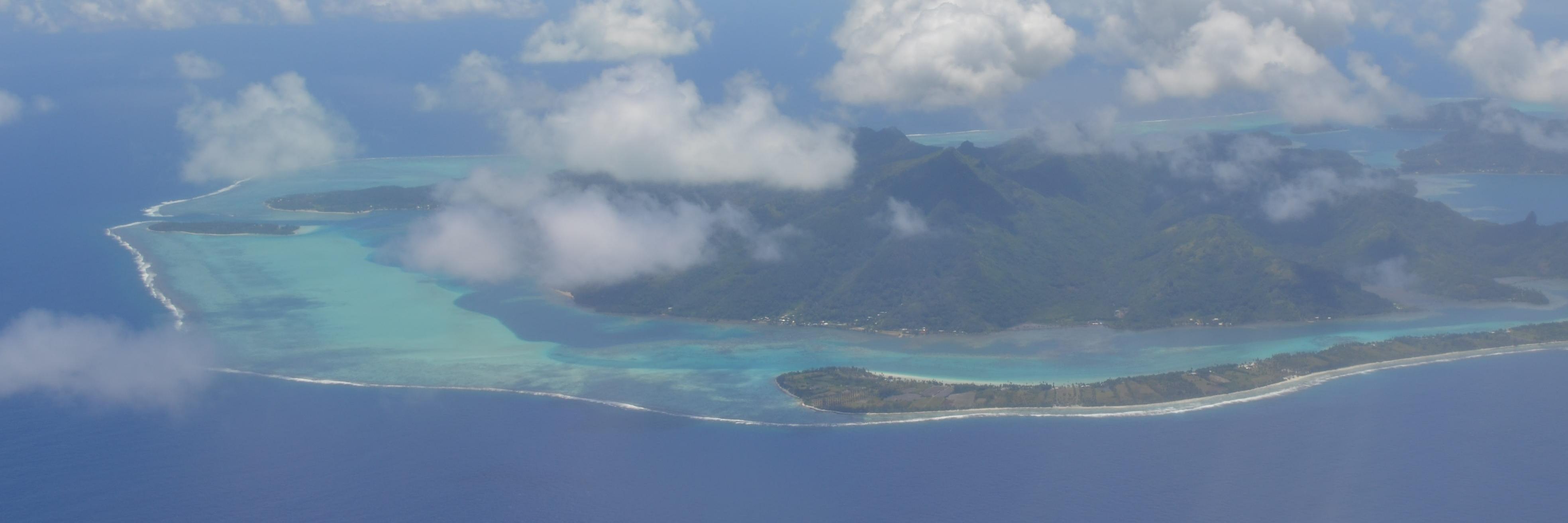 Diva Calzetti banner