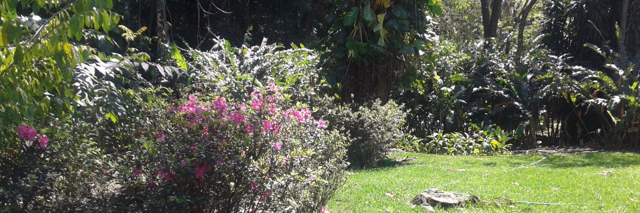 DorisMolina6's profile banner image