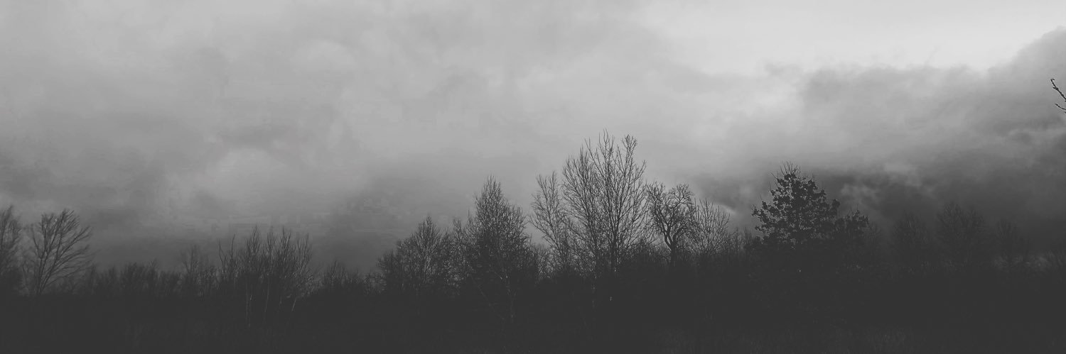 Michael Anderson banner