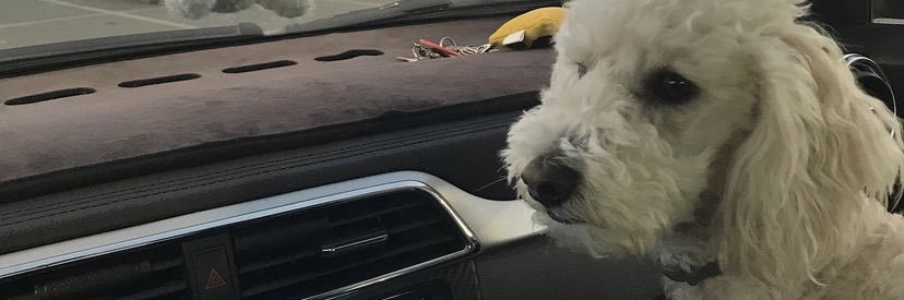 tavomena's profile banner image