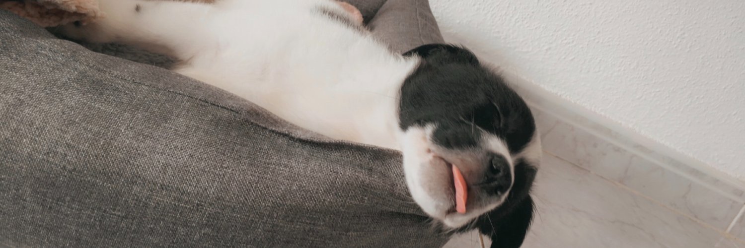 chescam11's profile banner image