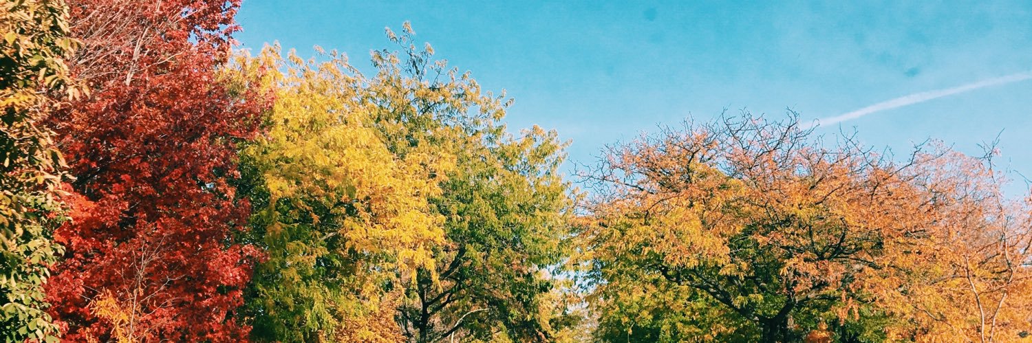 kellsaay8's profile banner image